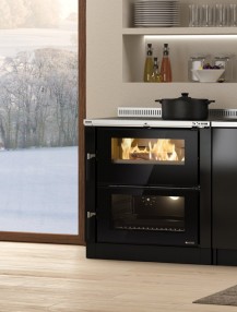 WOOD BURNING INSERTABLE COOKERS